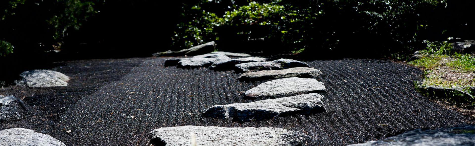 5 Steps to Embracing Change