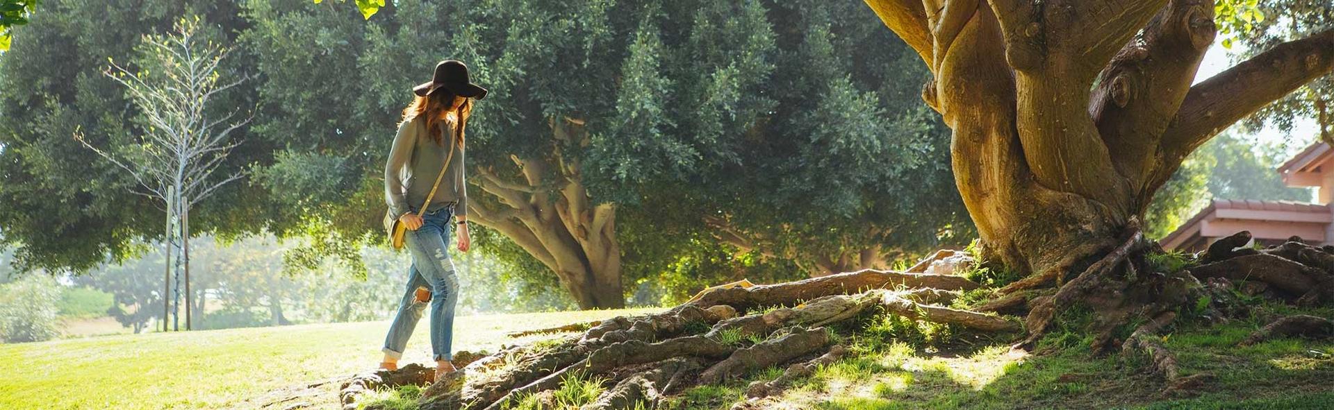 The Roots of Resilience