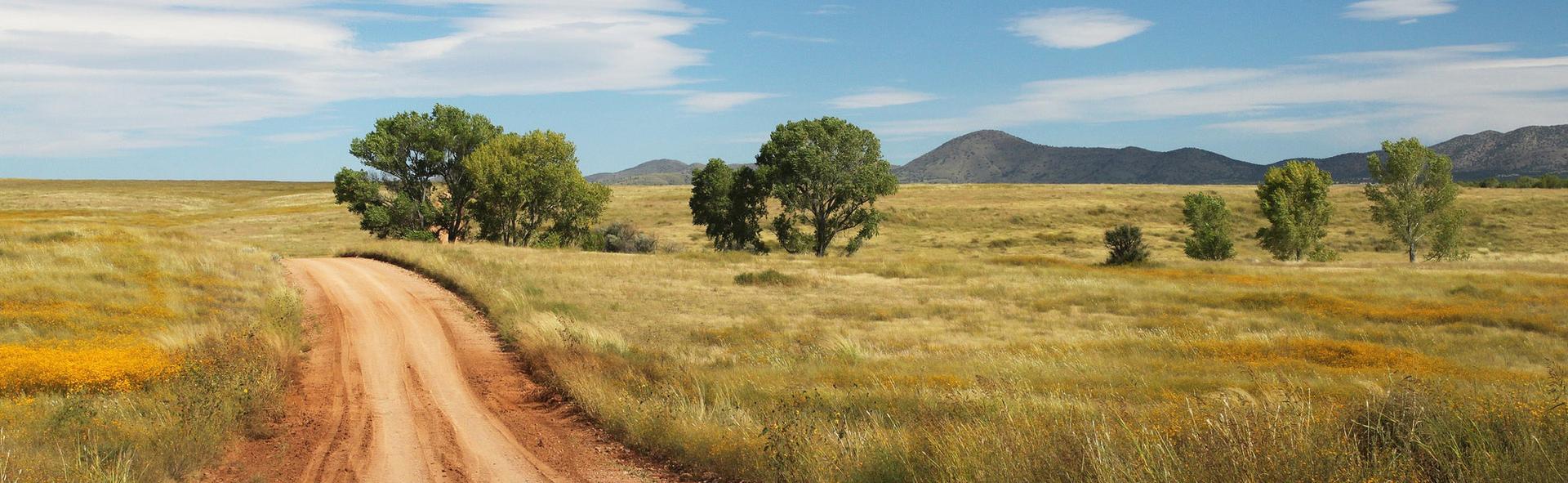 My Road To Emmaus