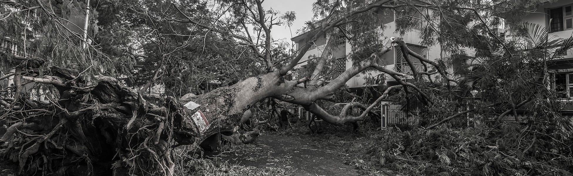 How The Mighty Have Fallen