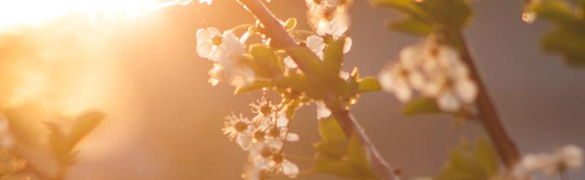 An Easter Like No Other