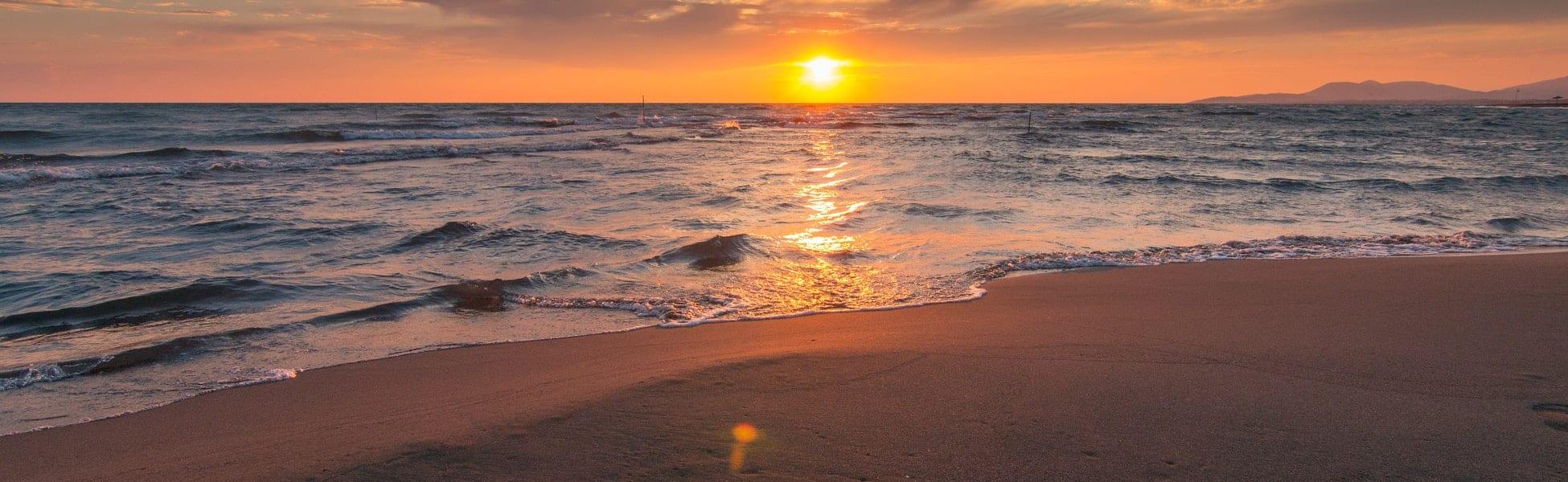 The Heart Of Gratitude